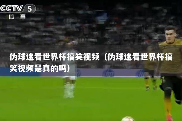 伪球迷看世界杯搞笑视频（伪球迷看世界杯搞笑视频是真的吗）