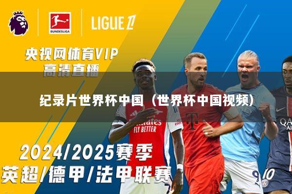 纪录片世界杯中国（世界杯中国视频）