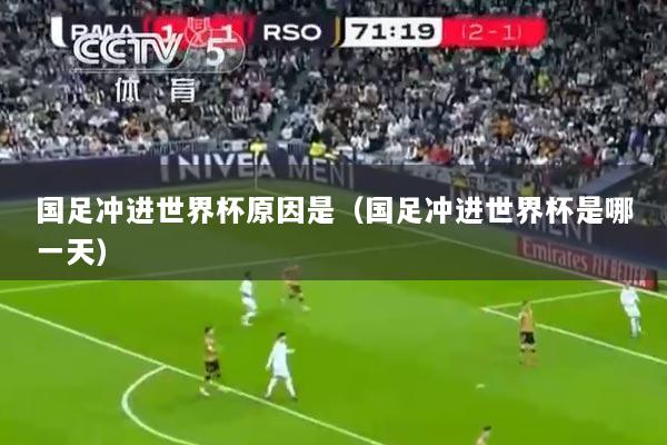 国足冲进世界杯原因是(国足冲进世界杯是哪一天)