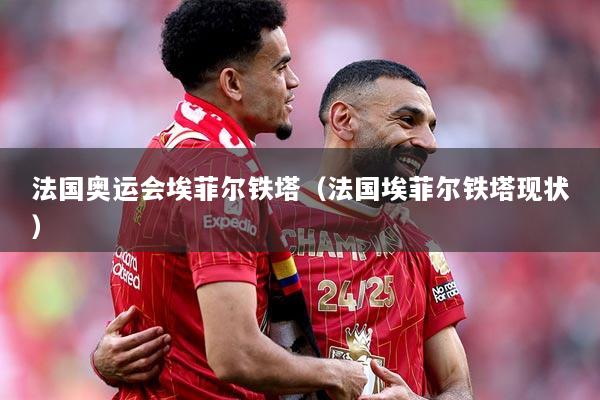 法国奥运会埃菲尔铁塔（法国埃菲尔铁塔现状）