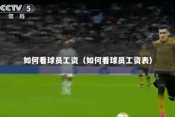 详细阅读:如何看球员工资(如何看球员工资表) 如何看球员工资(如何看球员工资表)