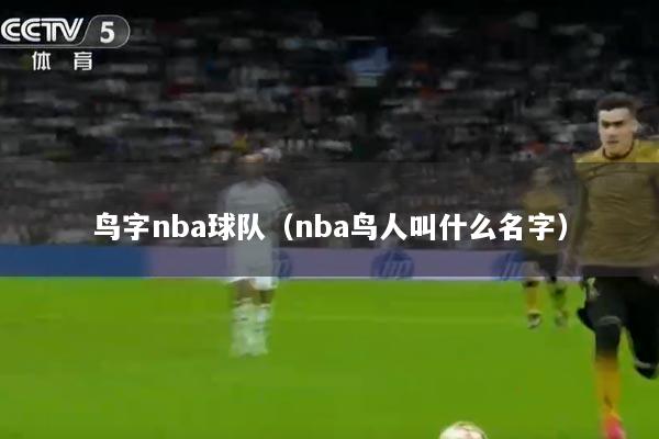鸟字nba球队（nba鸟人叫什么名字）
