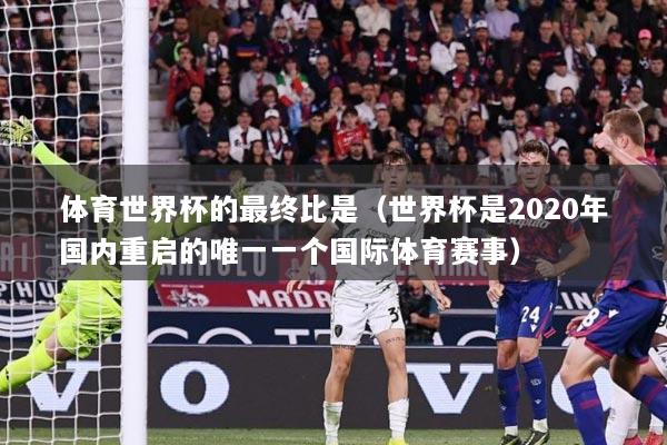 体育世界杯的最终比是（世界杯是2020年国内重启的唯一一个国际体育赛事）