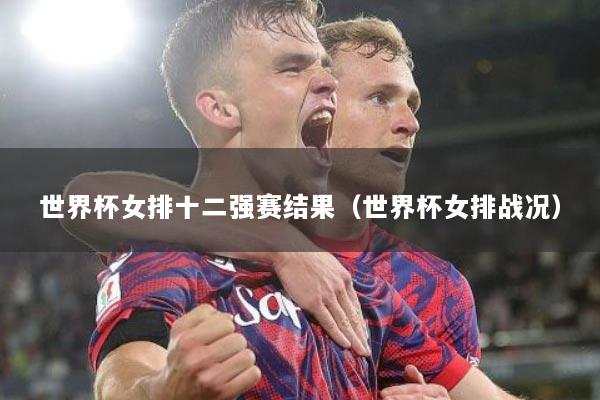 世界杯女排十二强赛结果（世界杯女排战况）