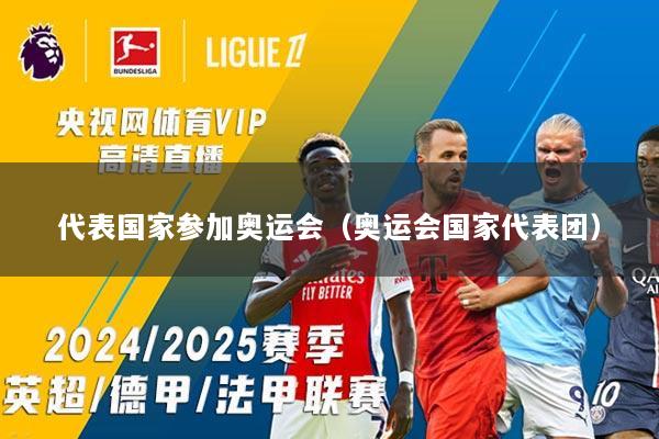 代表国家参加奥运会（奥运会国家代表团）