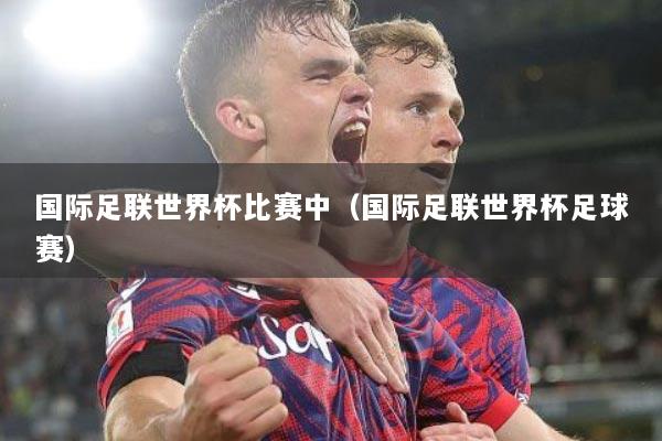 国际足联世界杯比赛中（国际足联世界杯足球赛）